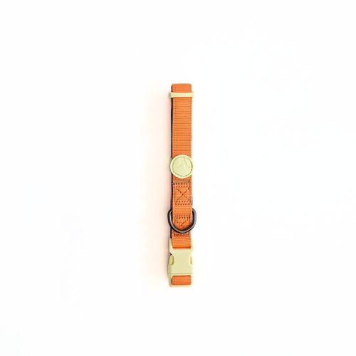 Collar para Perro Puppis Poly Teal Dominion