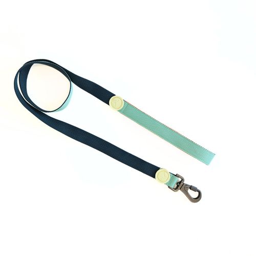 Correa para Perro Puppis Poly Teal Dominion
