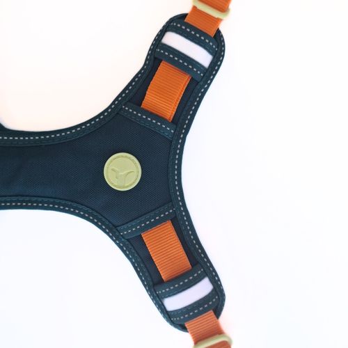Arnés para Perro Puppis Pechera Poly Teal Dominion