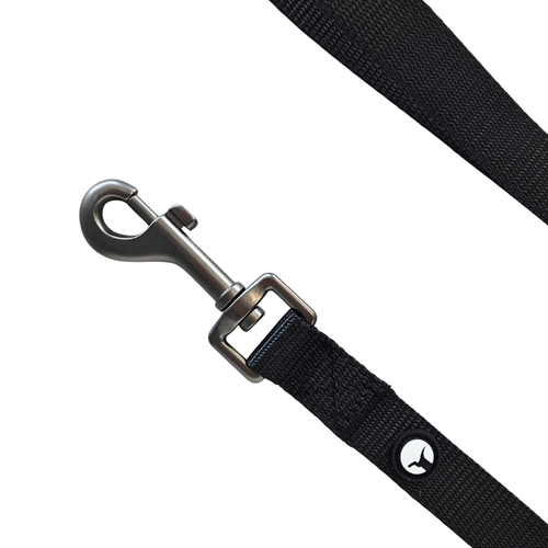 Correa Nylon para Perro Puppis Negra