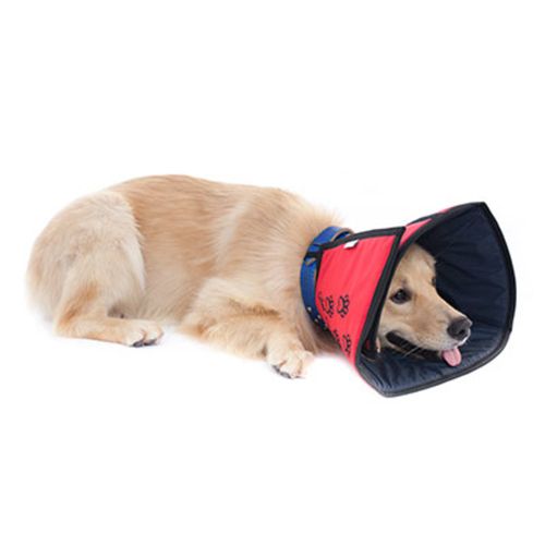 Collar post quirúrgico Para Mascotas Petmed Collar Comfort