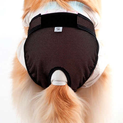 Protector Higiénico para Pañal de Perro Petmed Rosa