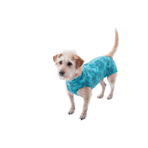 Ropa post quirurgica Para Perro Petmed Regular Dry Ligth Supreme Verde