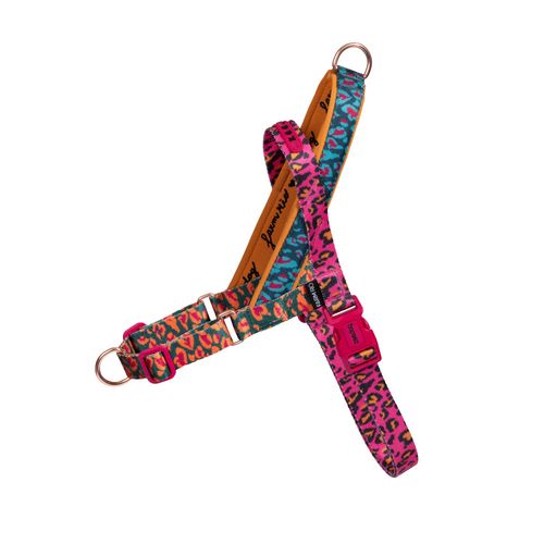 Arnés Para Mascotas Zeedog Softer Walk Selva