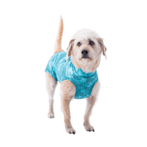 Ropa post quirurgica Para Perro Petmed Regular Dry Ligth Supreme Verde