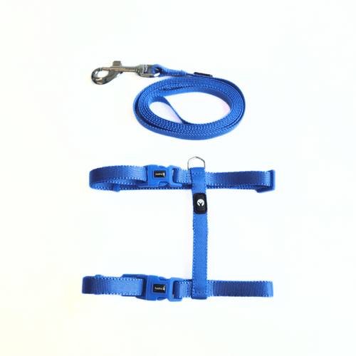 Kit Arnés y Correa para Gato Puppis Nylon Azul