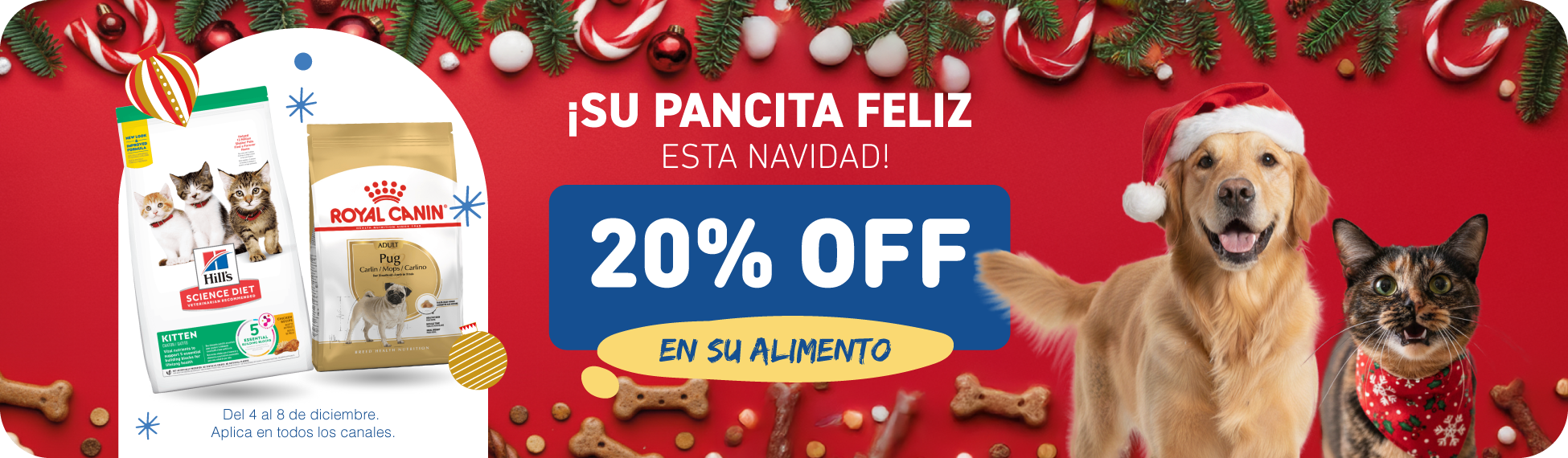 Santa express alimentos