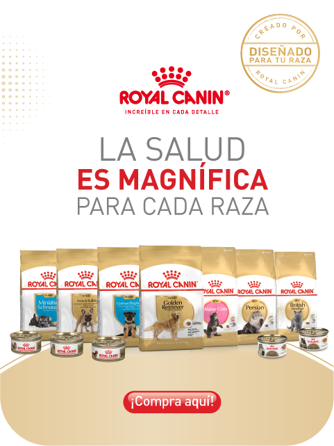 Royal Canin